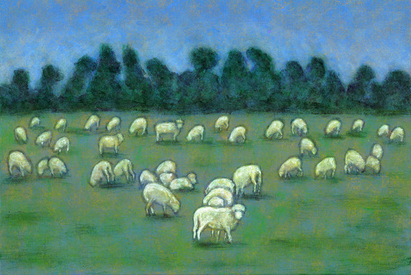 羊達の楽園1