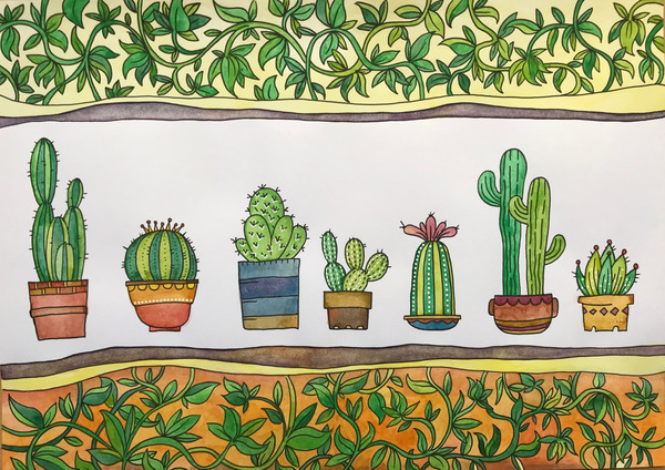 Cactus horizontally