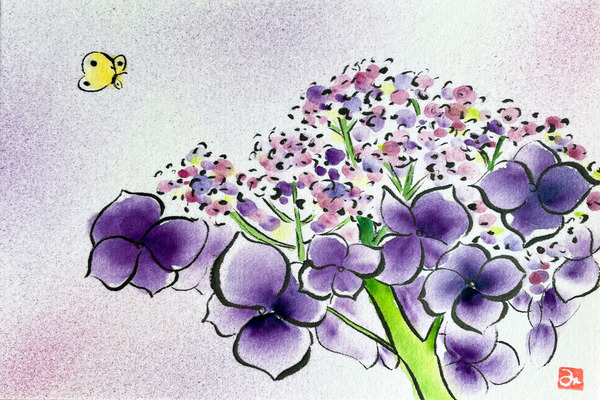 ガクアジサイ(額紫陽花)