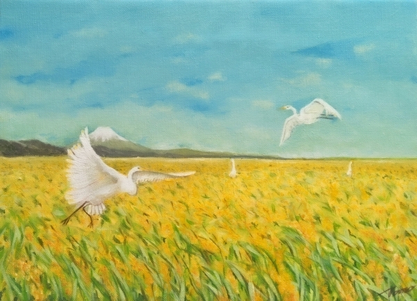 白鷺と田園