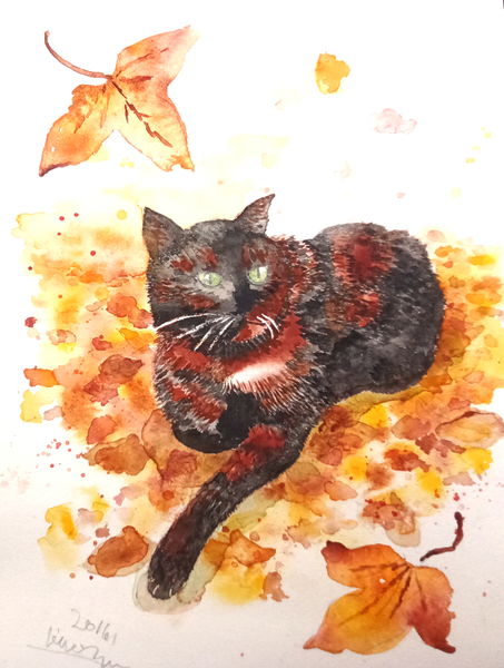落ち葉の絨毯と猫