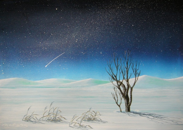 快晴の星降る雪原