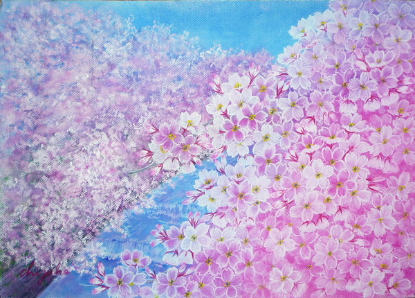桜 桜