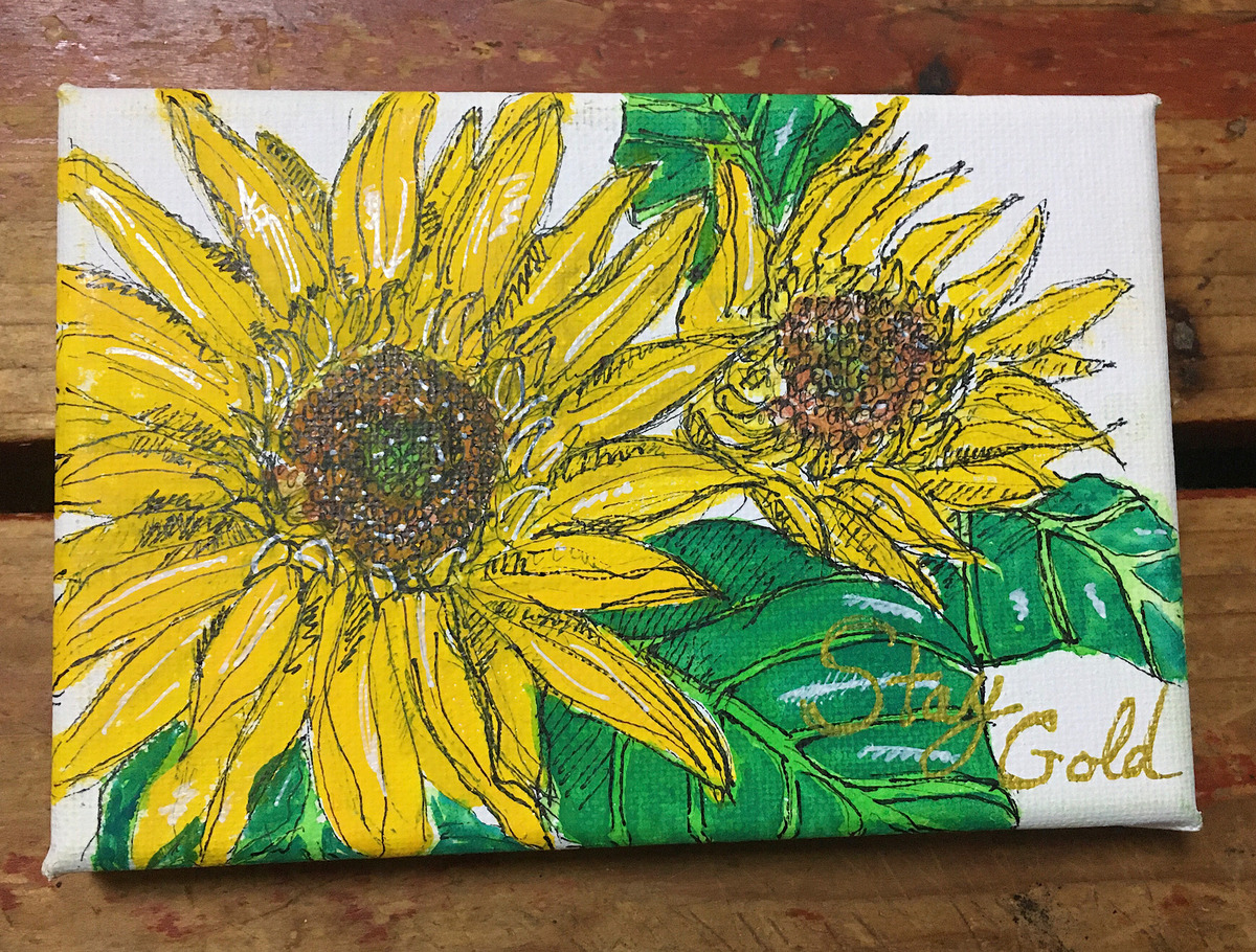 Sunflower StayGold