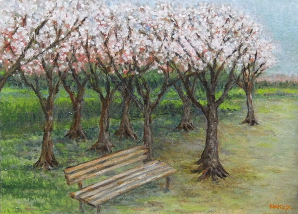 公園の桜の木