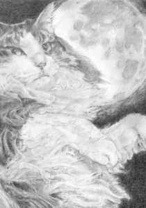작품명:「ODORI」 작가명:「紺野 巴」 코멘트:「寝っ転がってる猫の姿が踊っているみたいだなあと思って…」 ART-Meter