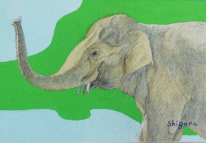 작품명:「Elephant」 작가명:「林 繁」 코멘트:「動物園のぞうを取材しました。バックはイメージで彩色しました。」 ART-Meter