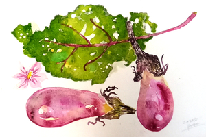 작품명:「nasu」 작가명:「ひやしんす」 코멘트:「野菜が美しいことは、お店に並んだ規格合格の商品と違う
自然栽培の虫食いだらけの葉っぱだったり、
だんだん太くなって色づく葉脈だったり、
実のなり始めでこれから黒ずく前の若い紫だったり、観察の途中・・ナスって綺麗。」 ART-Meter