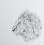 「lion」