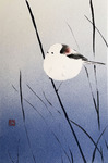 「Long-tailed tit」