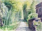 「Fresh green bamboo grove」