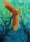 「Forest owl」