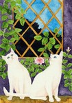 「white cat by the window」
